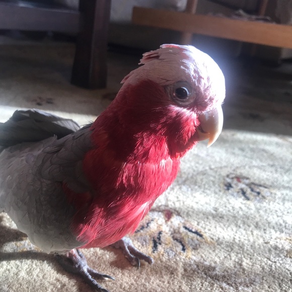 Meet your Posher, Juli - Picture 6 of 8